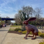 H’s Allergy Supplement Line Up